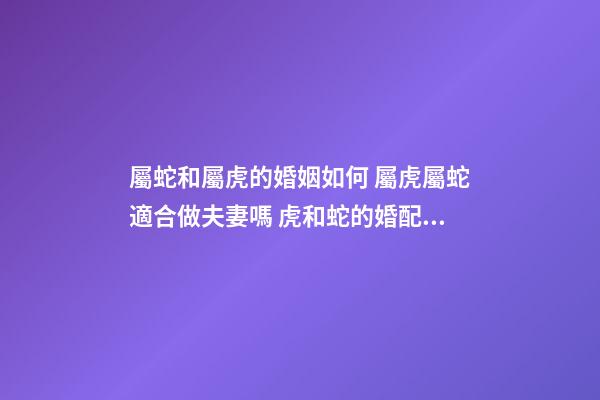 屬蛇和屬虎的婚姻如何 屬虎屬蛇適合做夫妻嗎 虎和蛇的婚配會長久嗎，屬虎和屬蛇可以婚配嗎-第1張-觀點(diǎn)-玄機(jī)派